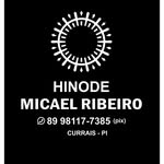 Mr Hinode